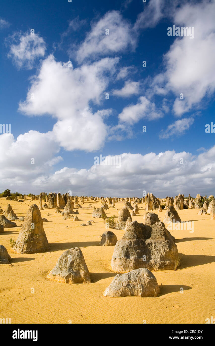 Limestone pillars jut out of the sand in the Pinnacles Desert in Nambung National Park. Cervantes, Western Australia, AUSTRALIA Stock Photo