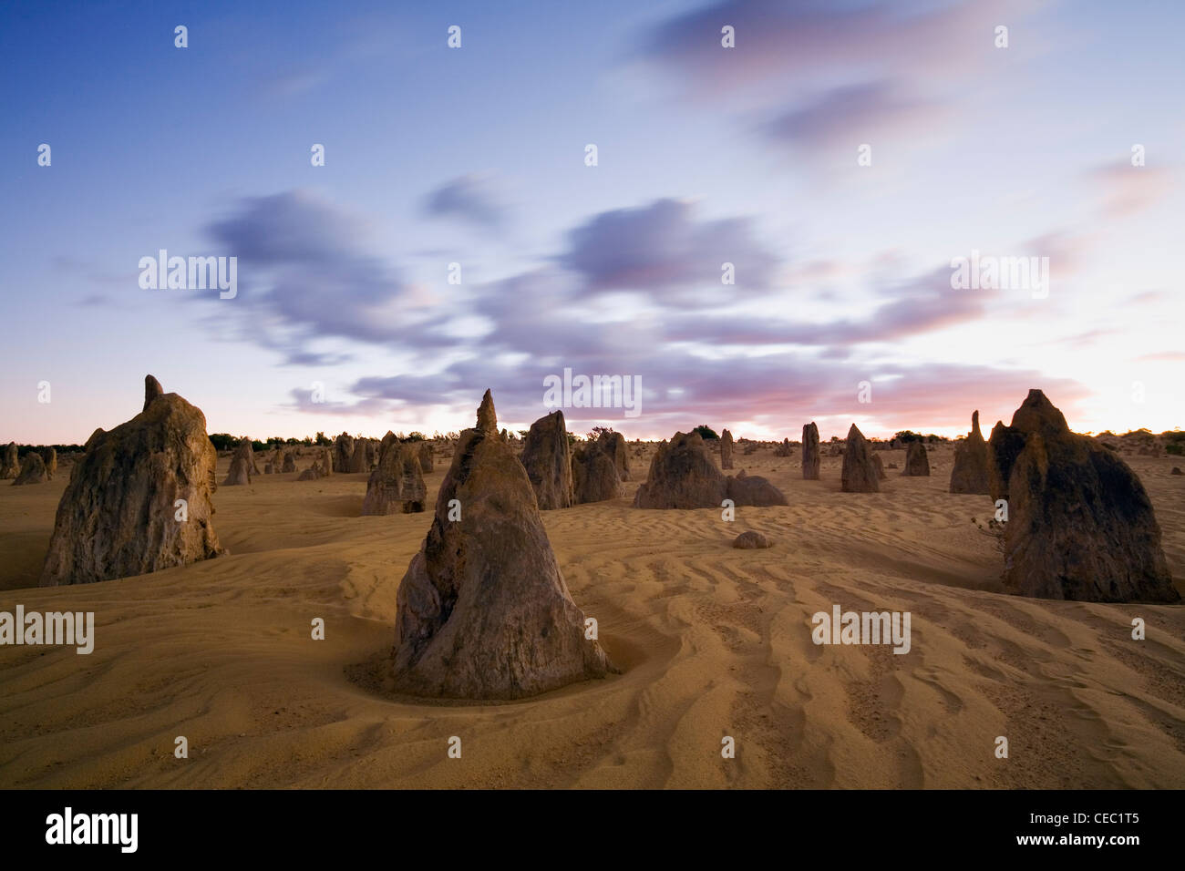 The limestone pillars of the Pinnacles Desert at dawn. Nambung National