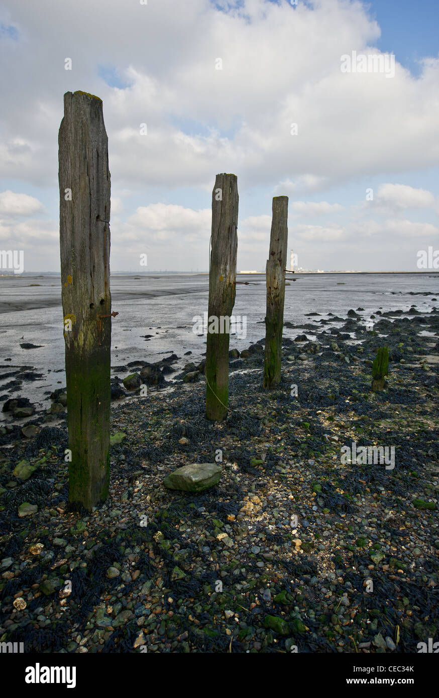 The remains of a wooden jetty on the banks of the River Medway Stock Photo