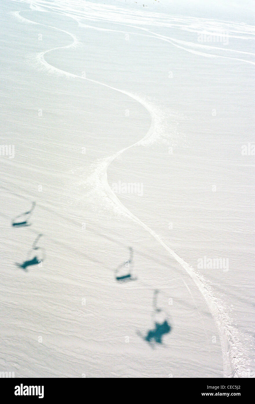 Off piste skiing trace on Hintertux glacier, Austria Stock Photo