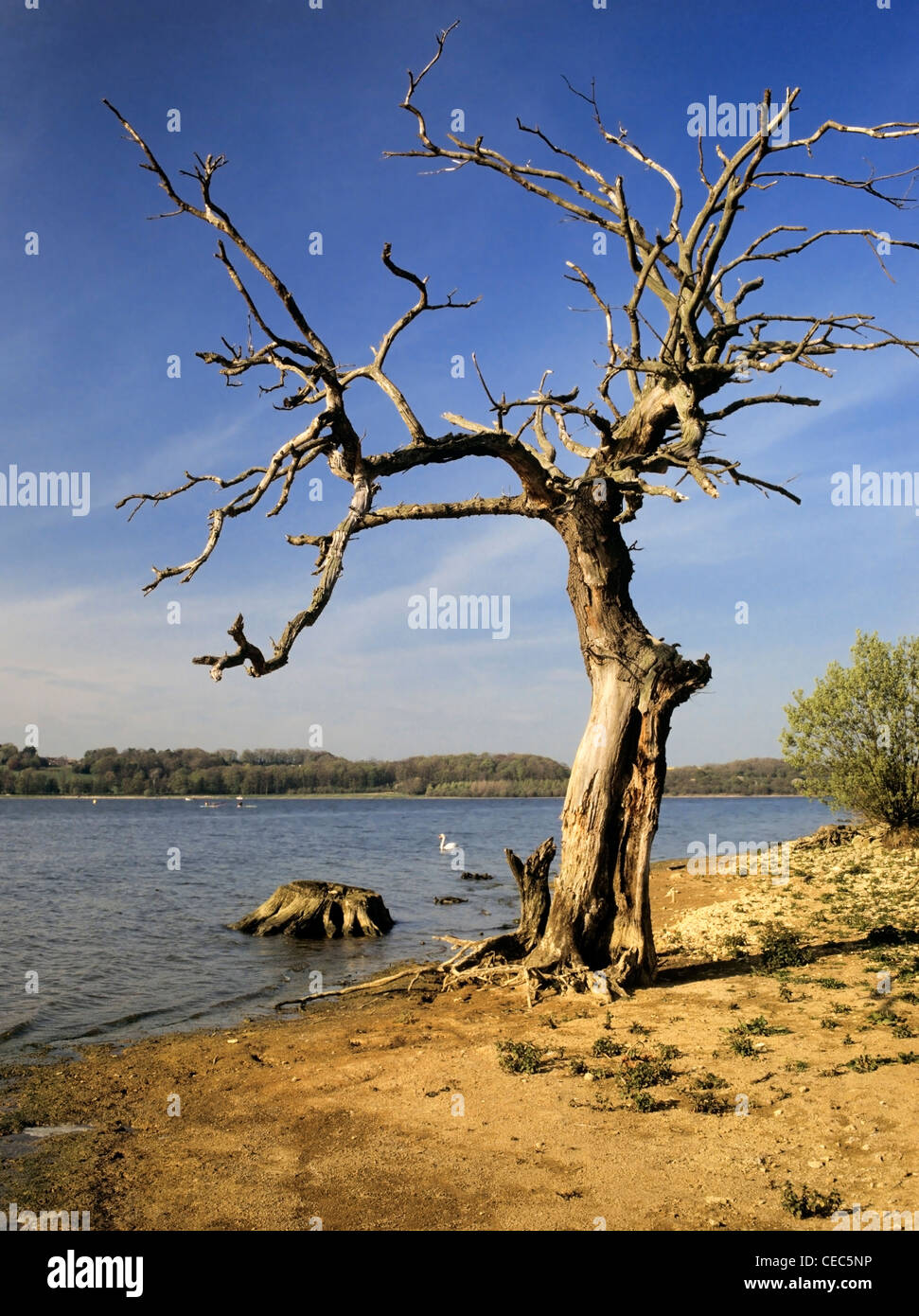 reservoir rutland water leicestershire Stock Photo Alamy