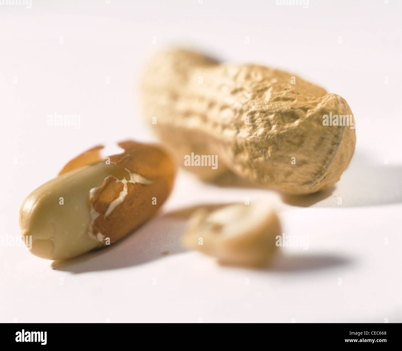 Still Peanuts with and without shell Stock Photo Alamy
