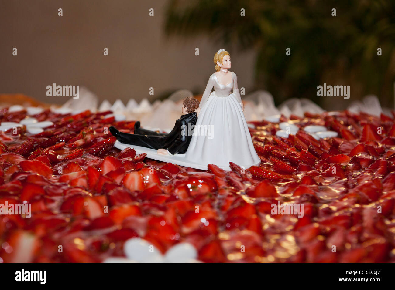 Bride and Groom figurines on wedding cake Stock Photo - Alamy