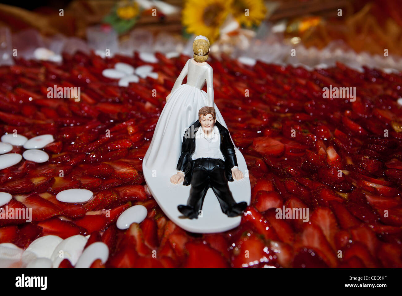 Bride and Groom figurines on wedding cake Stock Photo - Alamy