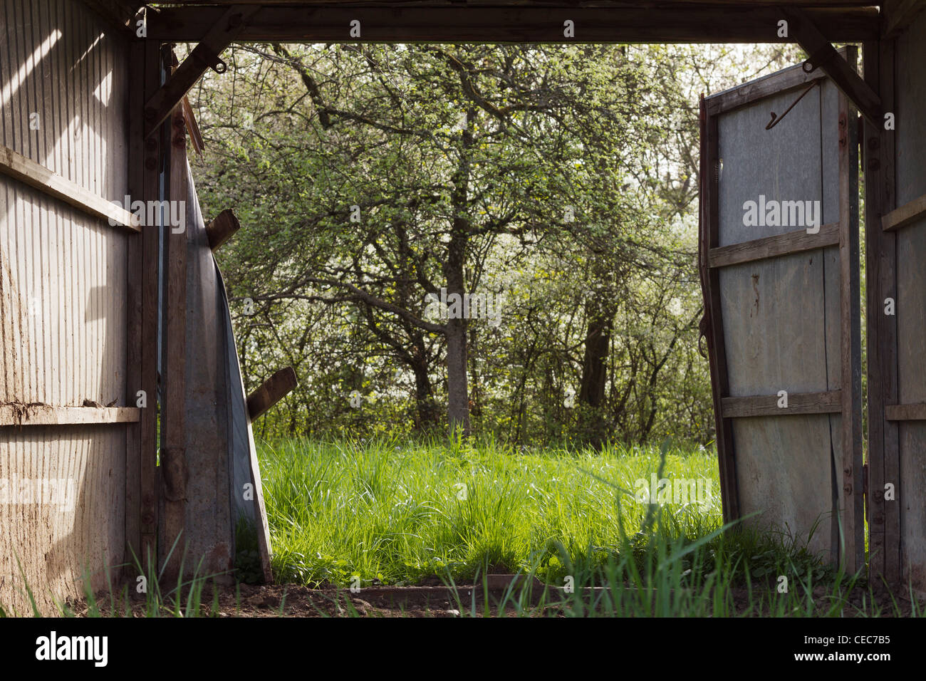 View through a open barn door into the spring with trees and fresh ...