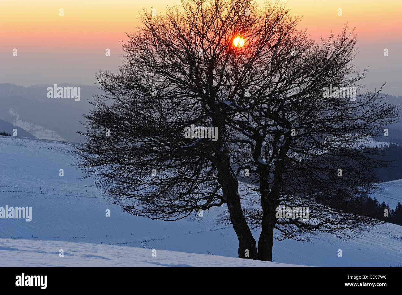 Black Forest sunset Stock Photo - Alamy