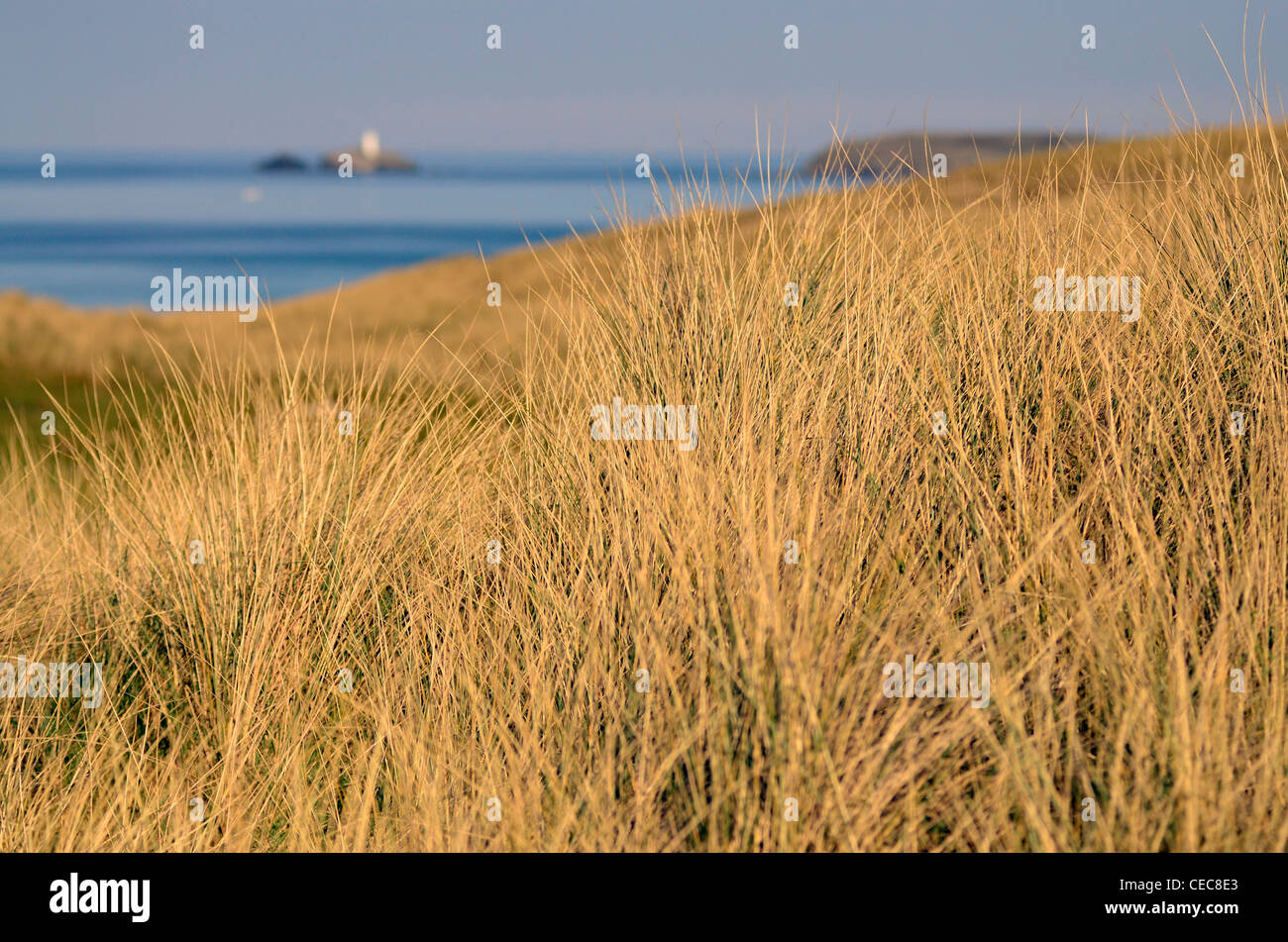 Sand dunes with lighthouse in background Stock Photo