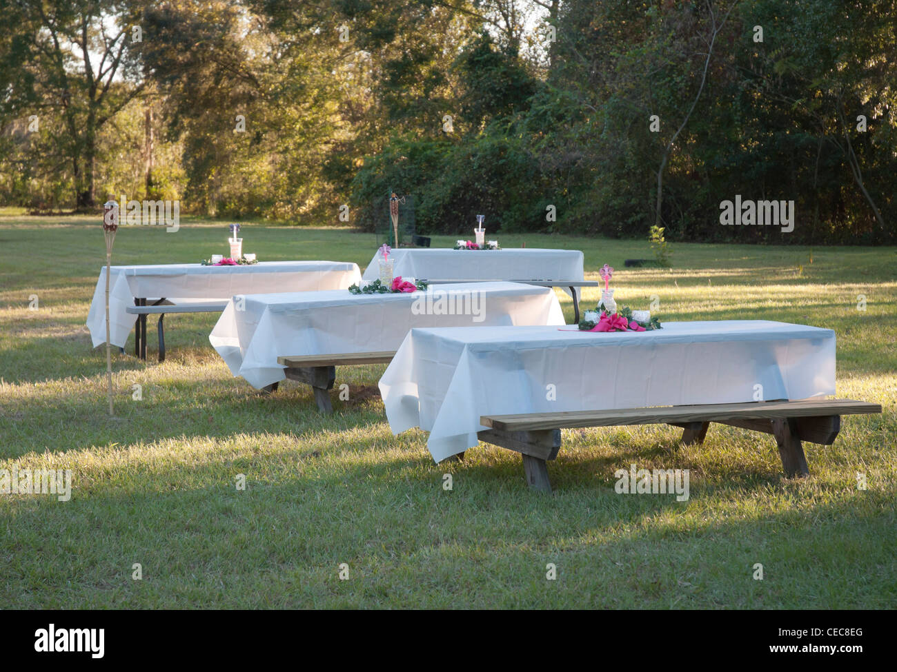 Picnic tables decorated for an outdoor wedding celebration. Stock Photo