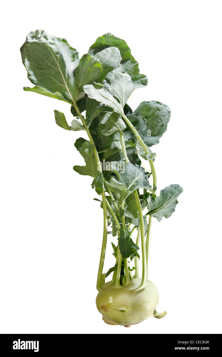 Kohlrabi Stock Photo