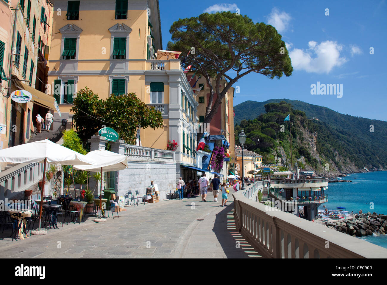 Street cafe at the beach promenade, fishing village Camogli, province Genua, Liguria di Levante, Italy, Mediterranean sea, Europe Stock Photo