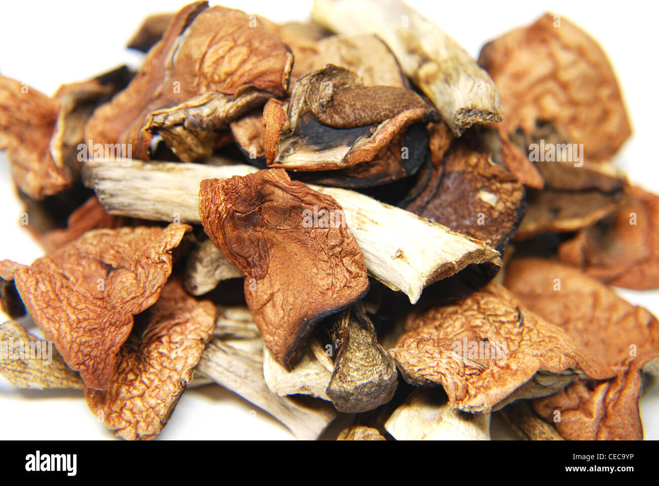 background, brown, closeup, dried, flora, food, fungi, fungus, ingredient, isolated, mushrooms, organic, raw, vegetable, Stock Photo