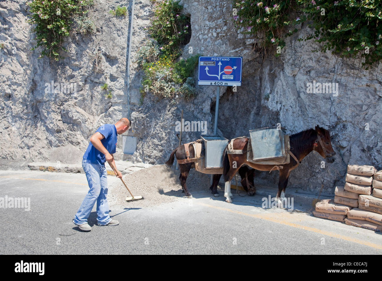 Local man use donkeys for transport of construction material to pass narrow alleys, Amalfi, Amalfi coast, Campania, Italy, Mediterranean sea, Europe Stock Photo