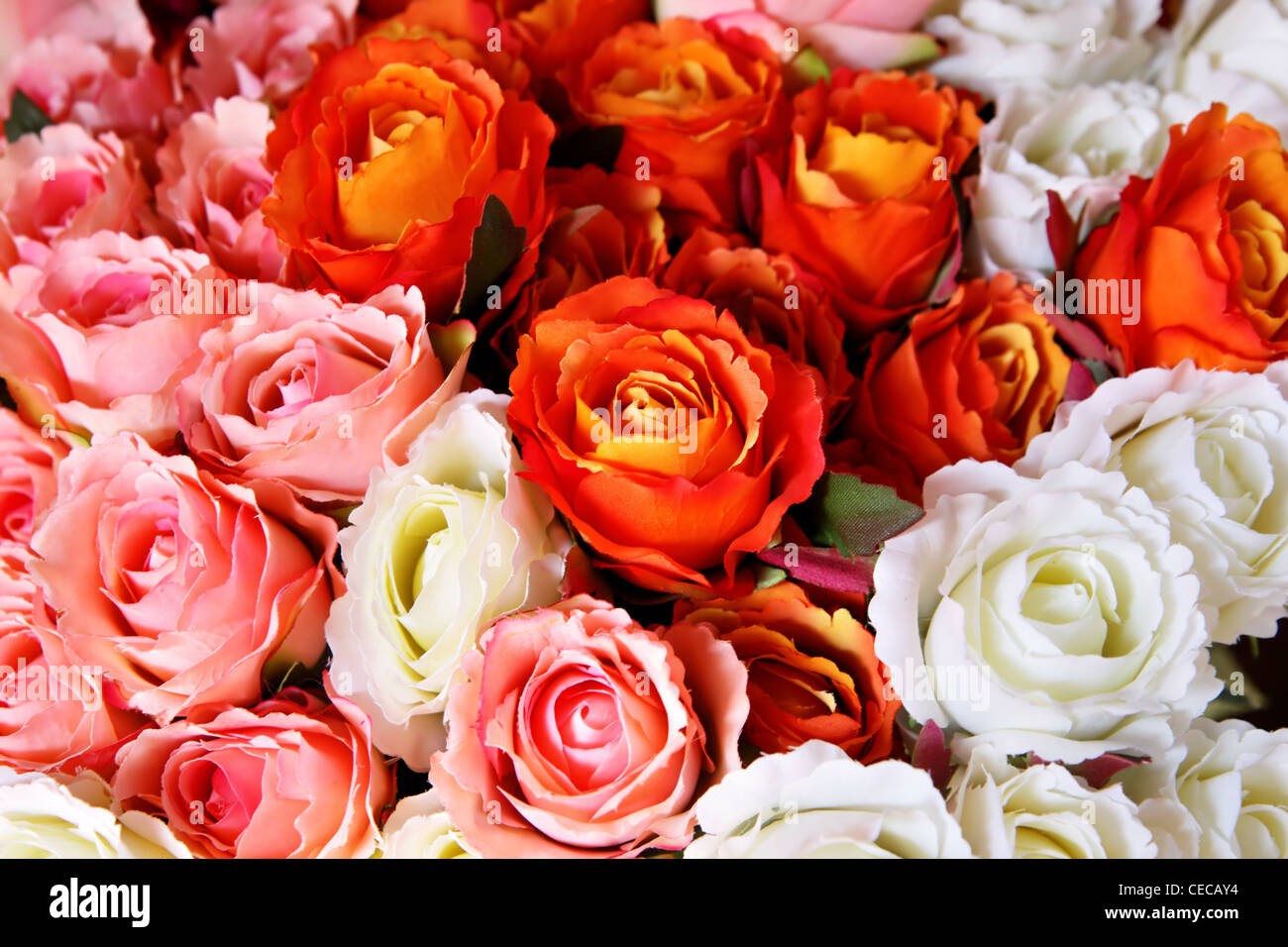 Red roses background wallpaper hi-res stock photography and images - Alamy
