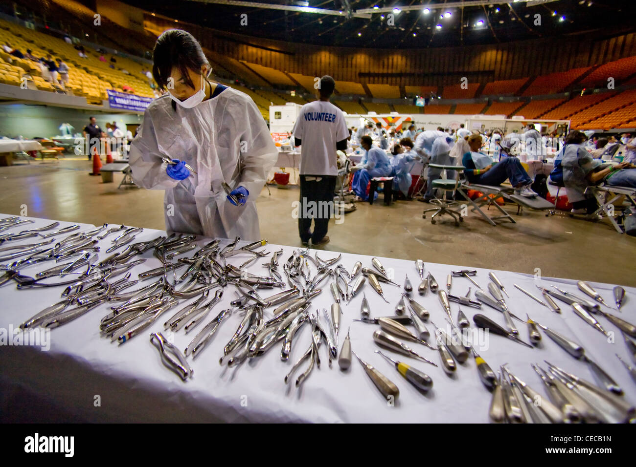 Asian woman volunteer dentist selects sterilized instruments laid out on a long table Stock Photo