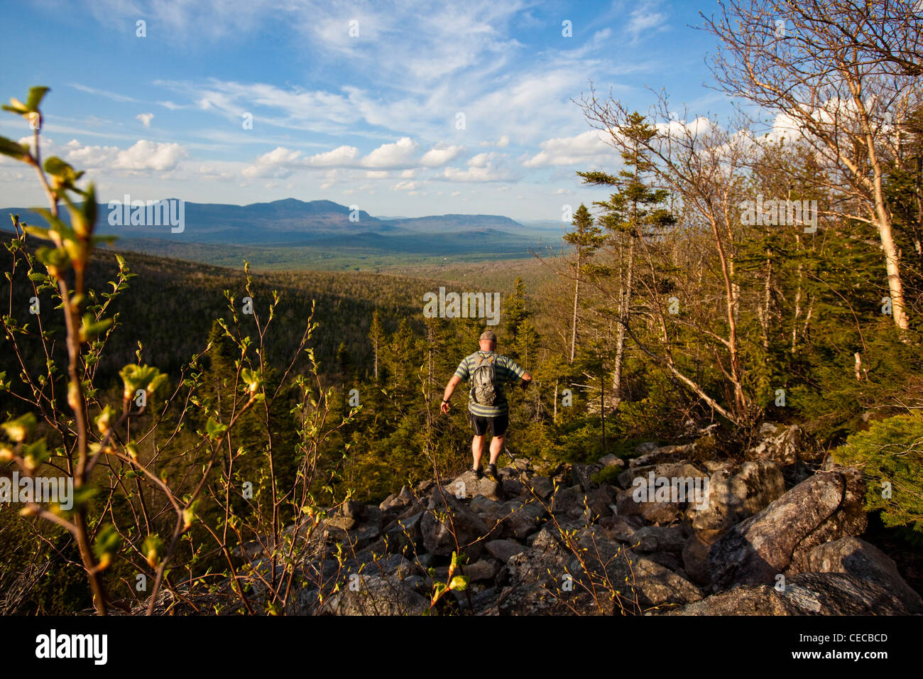 A man hikes the Appalachian Trail on Crocker Mountain in Stratton
