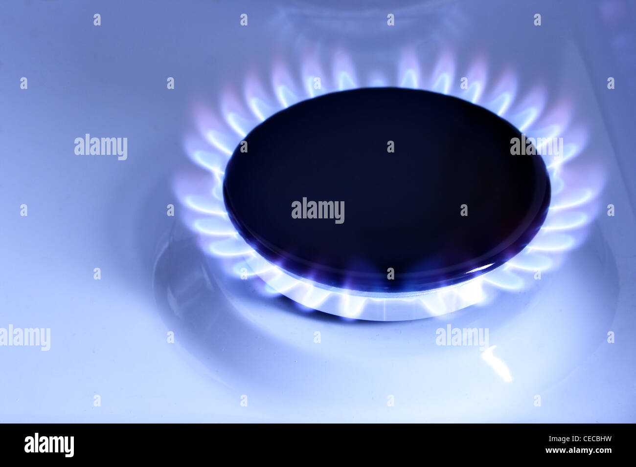 Blue gas flame on hob close up Stock Photo Alamy