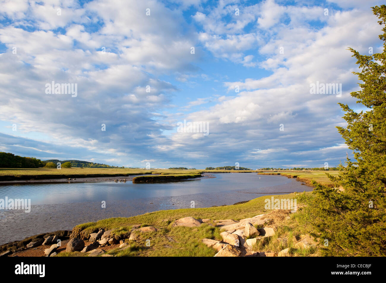 Salt marsh on the edge of the Essex River in Essex, Massachusetts.  Cox Reservation - Essex County Greenbelt Association. Stock Photo