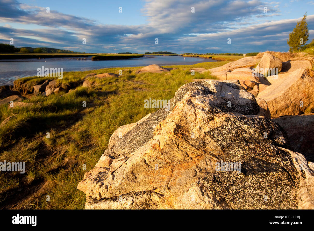 Salt marsh on the edge of the Essex River in Essex, Massachusetts.  Cox Reservation - Essex County Greenbelt Association. Stock Photo