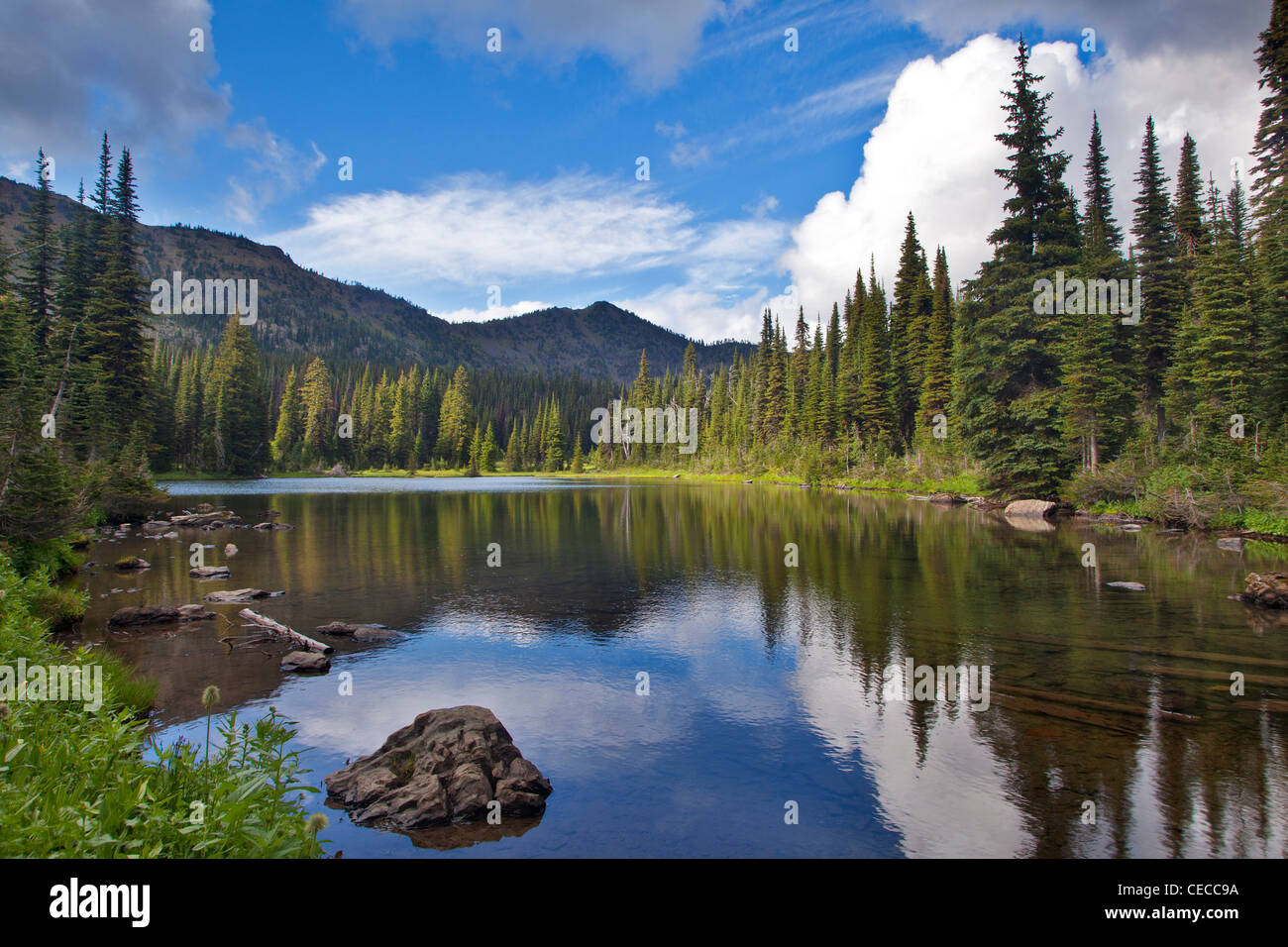 Paradise Lake in the Ten Lakes Scenic Aerea of the Kootenai National Forest, Montana, USA Stock Photo