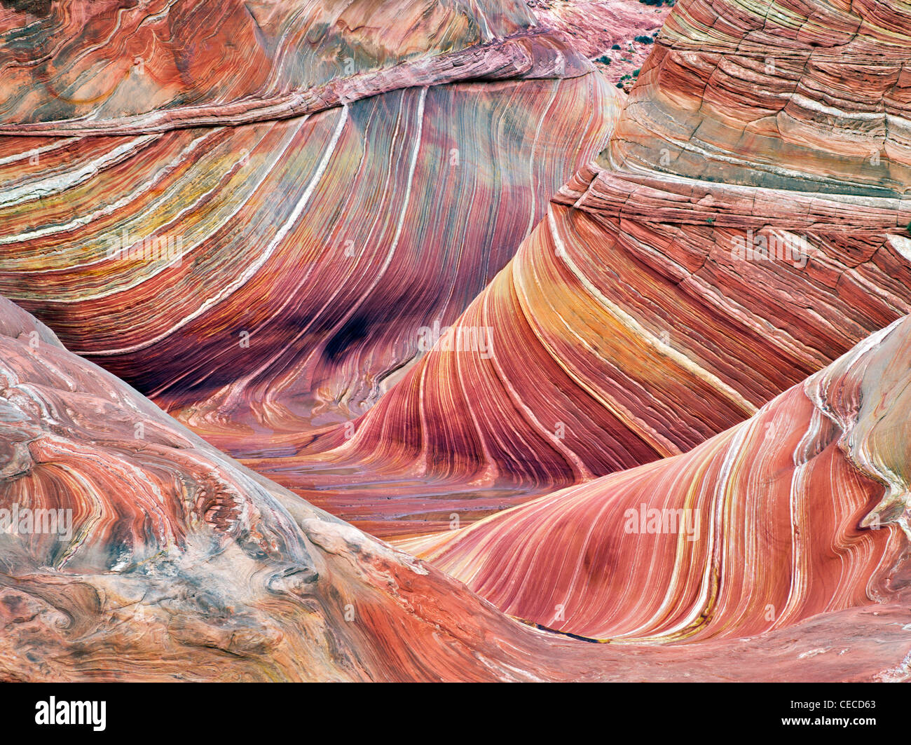 Sandtone formation in North Coyote Buttes, The Wave. Paria Canyon