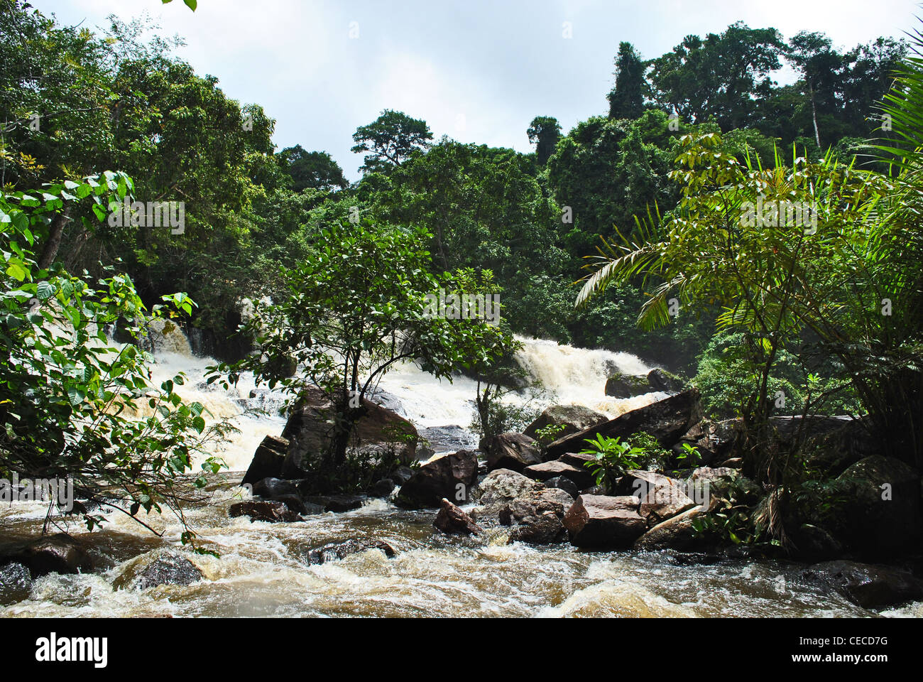 Kpatawe Falls near Gbarnga, Liberia, West Africa Stock Photo