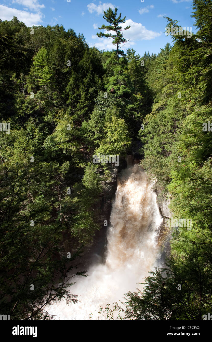 Main falls at Bushkill Falls, in spate after Hurricane Irene, in the Poconos area of Pennsylvania, near the Delaware Water Gap. Stock Photo
