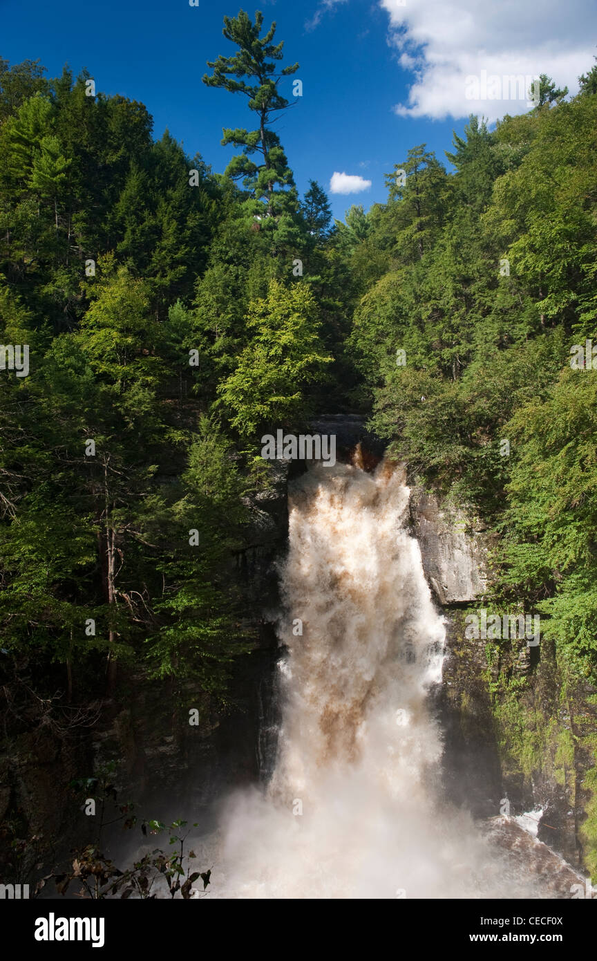 Main falls at Bushkill Falls, in spate after Hurricane Irene, in the Poconos area of Pennsylvania, near the Delaware Water Gap. Stock Photo