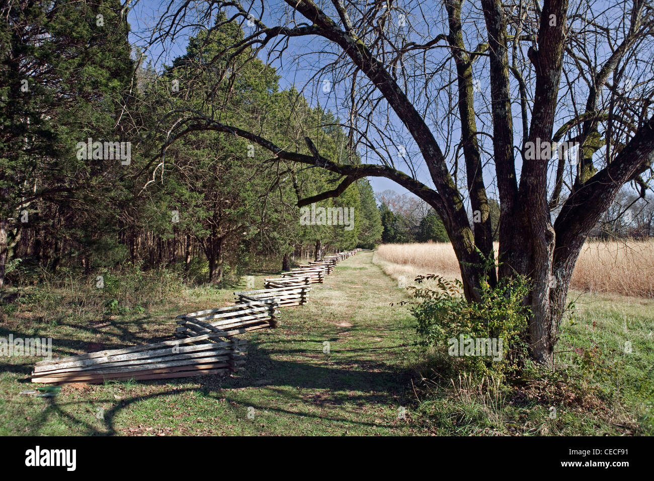 Battle american civil war battle of river battle of murfreesboro hires