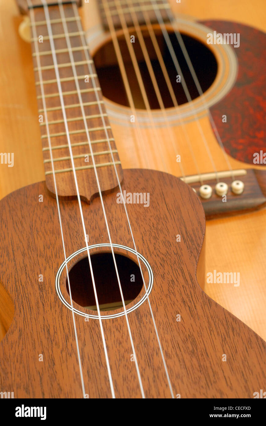 Dreadnought ukulele 2024