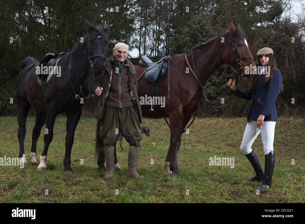 Trainer and an young woman with race horses Stock Photo