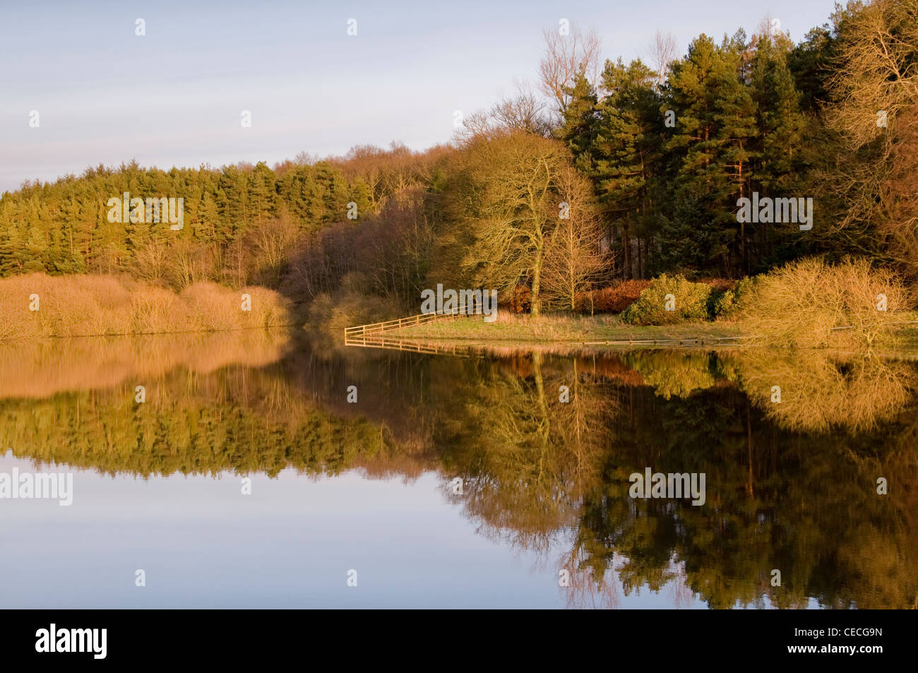 Beautiful scenic landscape - woodland trees (bright autumn colour) reflected on still, calm water - Swinsty Reservoir, North Yorkshire, England, UK. Stock Photo