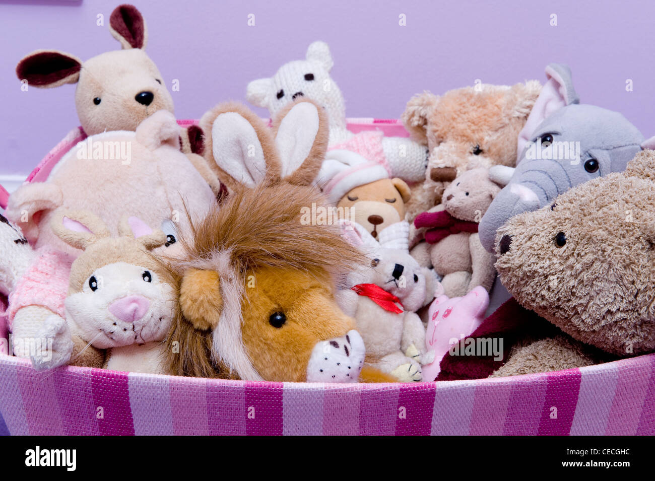 Close-up of child's (girl's) pink striped toy box full to the top with various soft toys (teddies, elephant, lion, rabbit) - Yorkshire, England, UK. Stock Photo