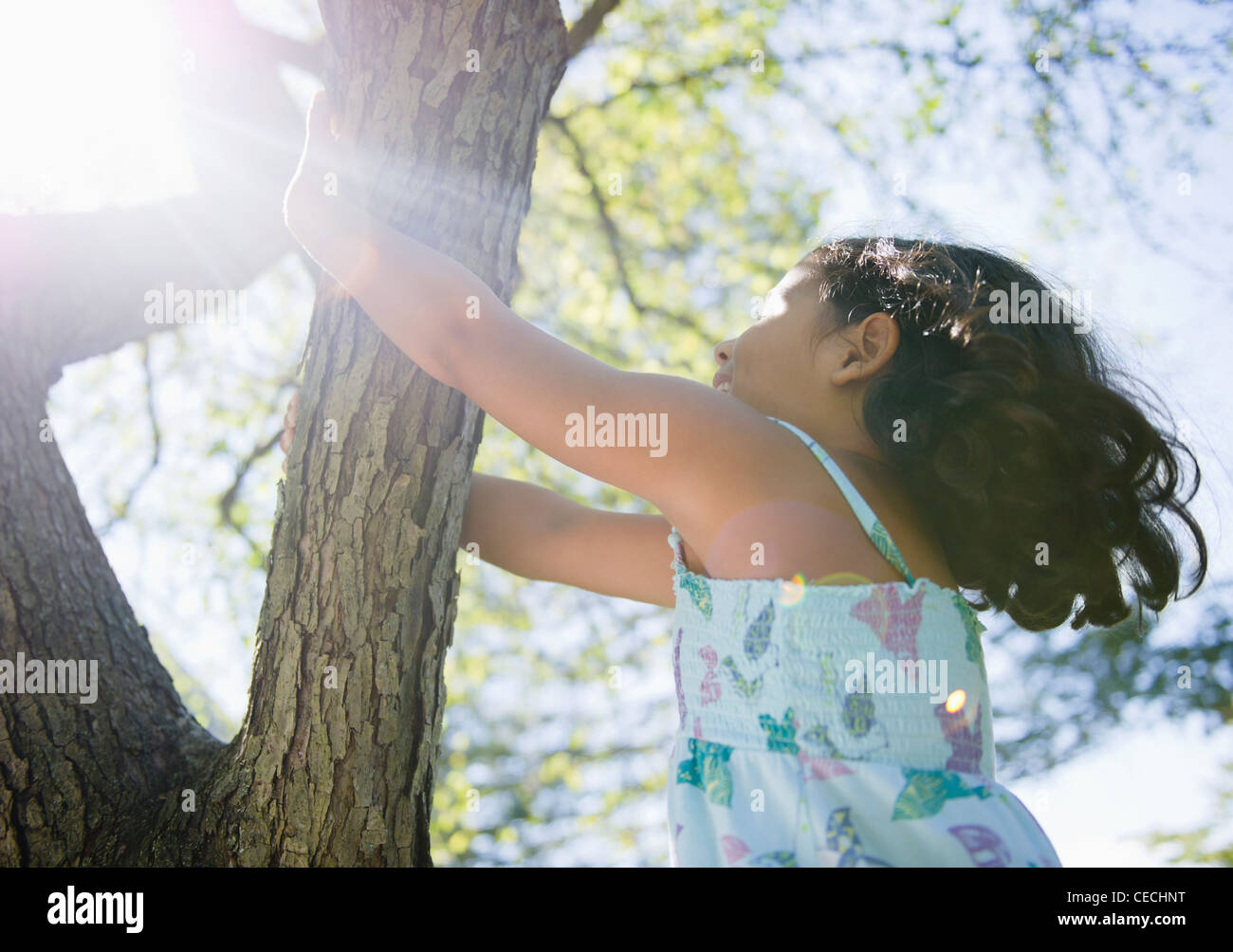 Hispanic girl climbing tree Stock Photo
