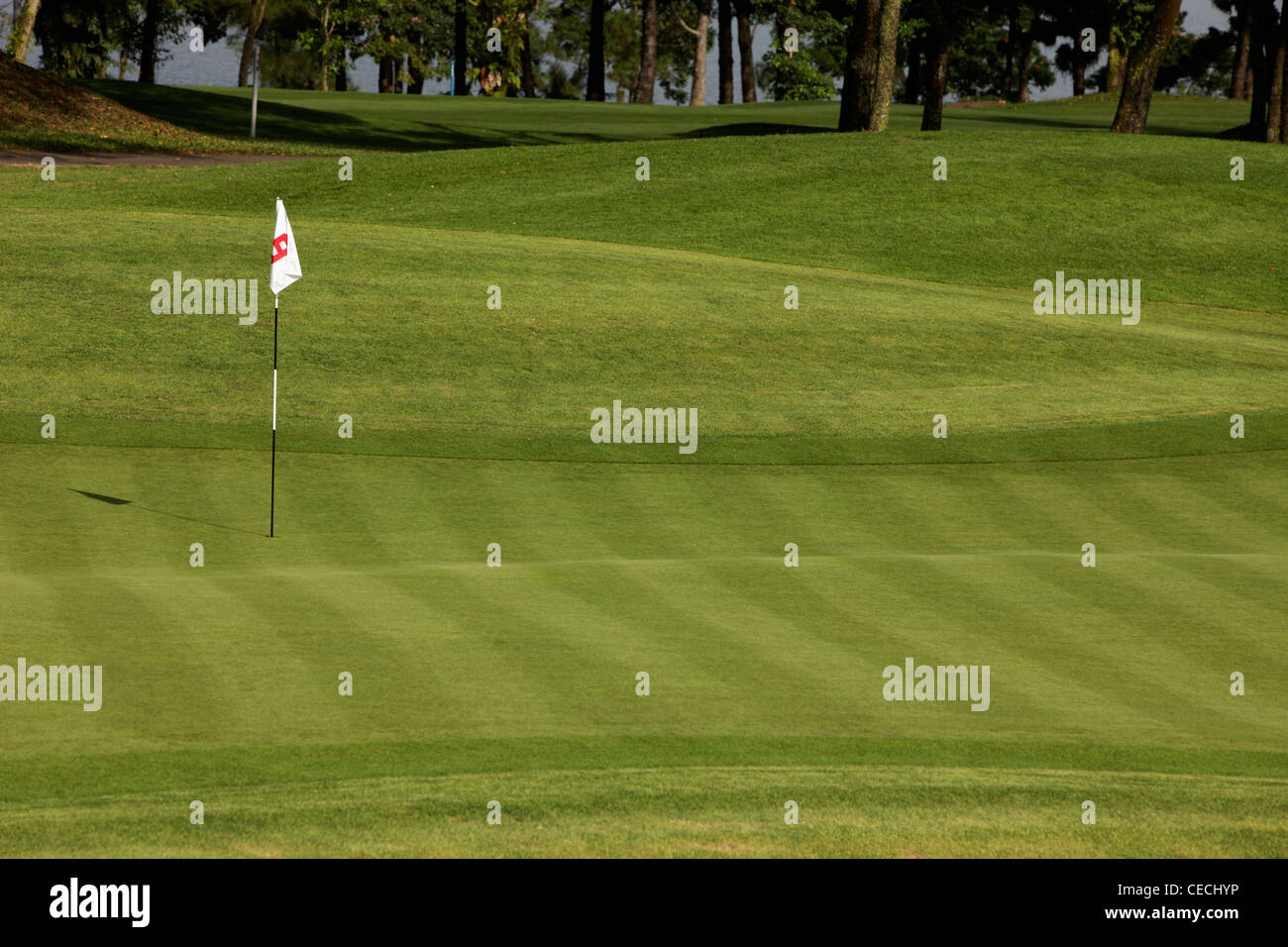 Golf course green with 8th hole flag. Stock Photo