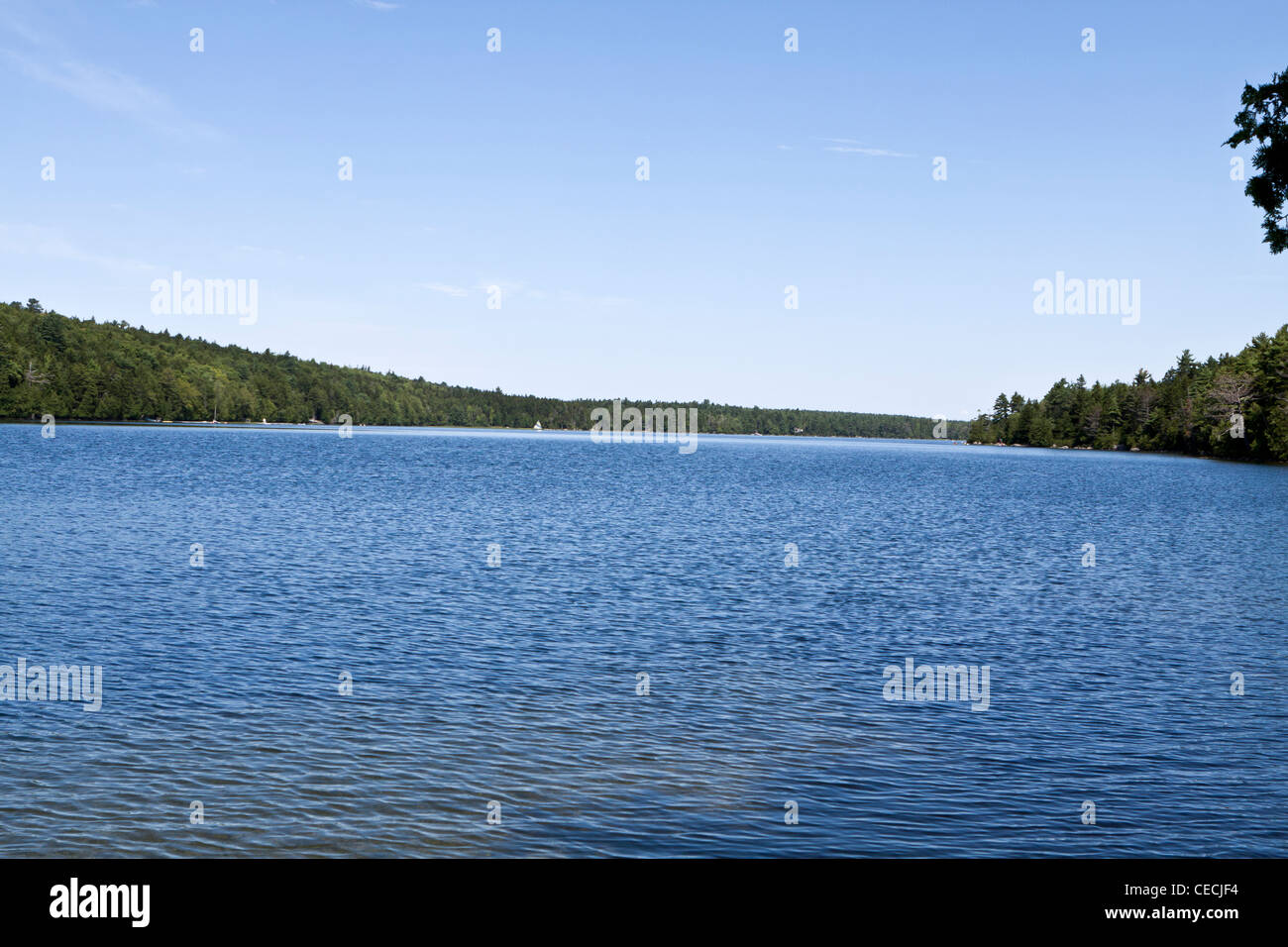 Echo lake, Acadia National Park, Maine Stock Photo Alamy