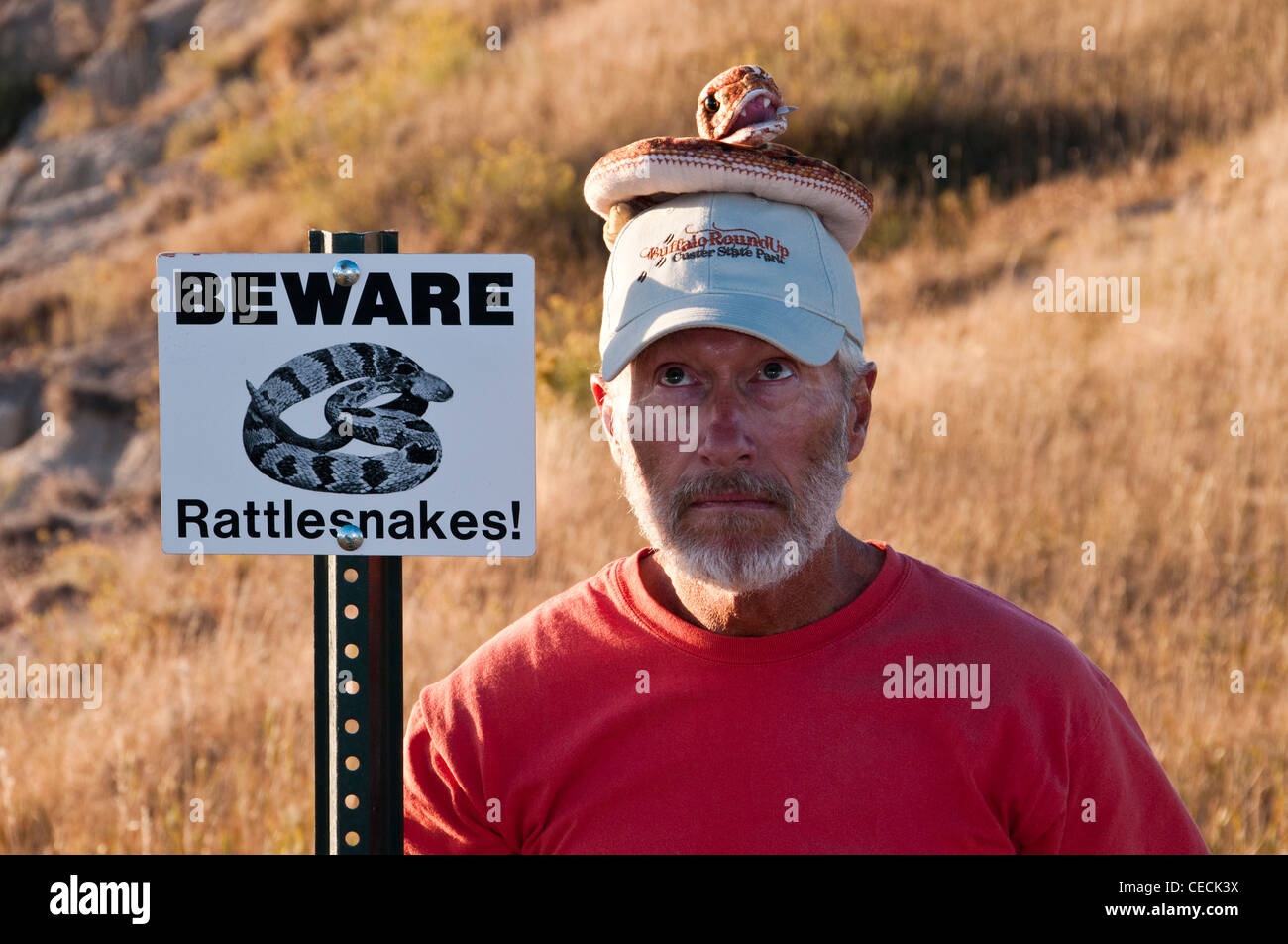 Beware Rattlesnakes warning sign, Bigfoot Pass Overlook, Badlands Loop ...