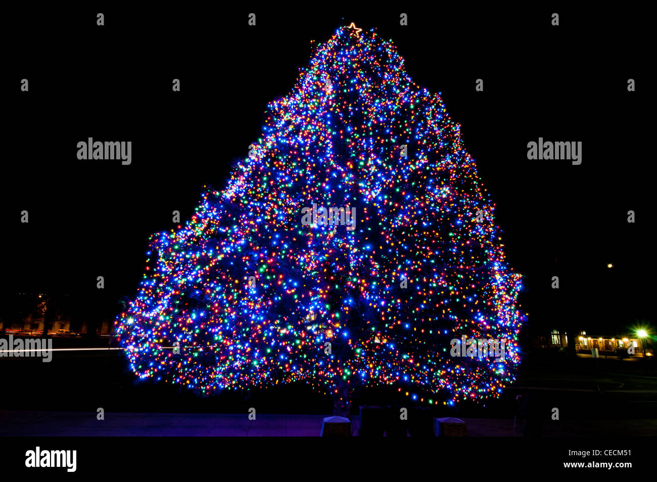 Idaho State official Christmas tree - 2011 Stock Photo