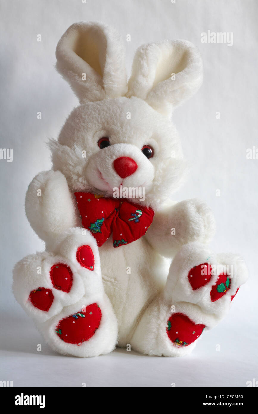 white fluffy soft cuddly bunny isolated on white background Stock Photo ...