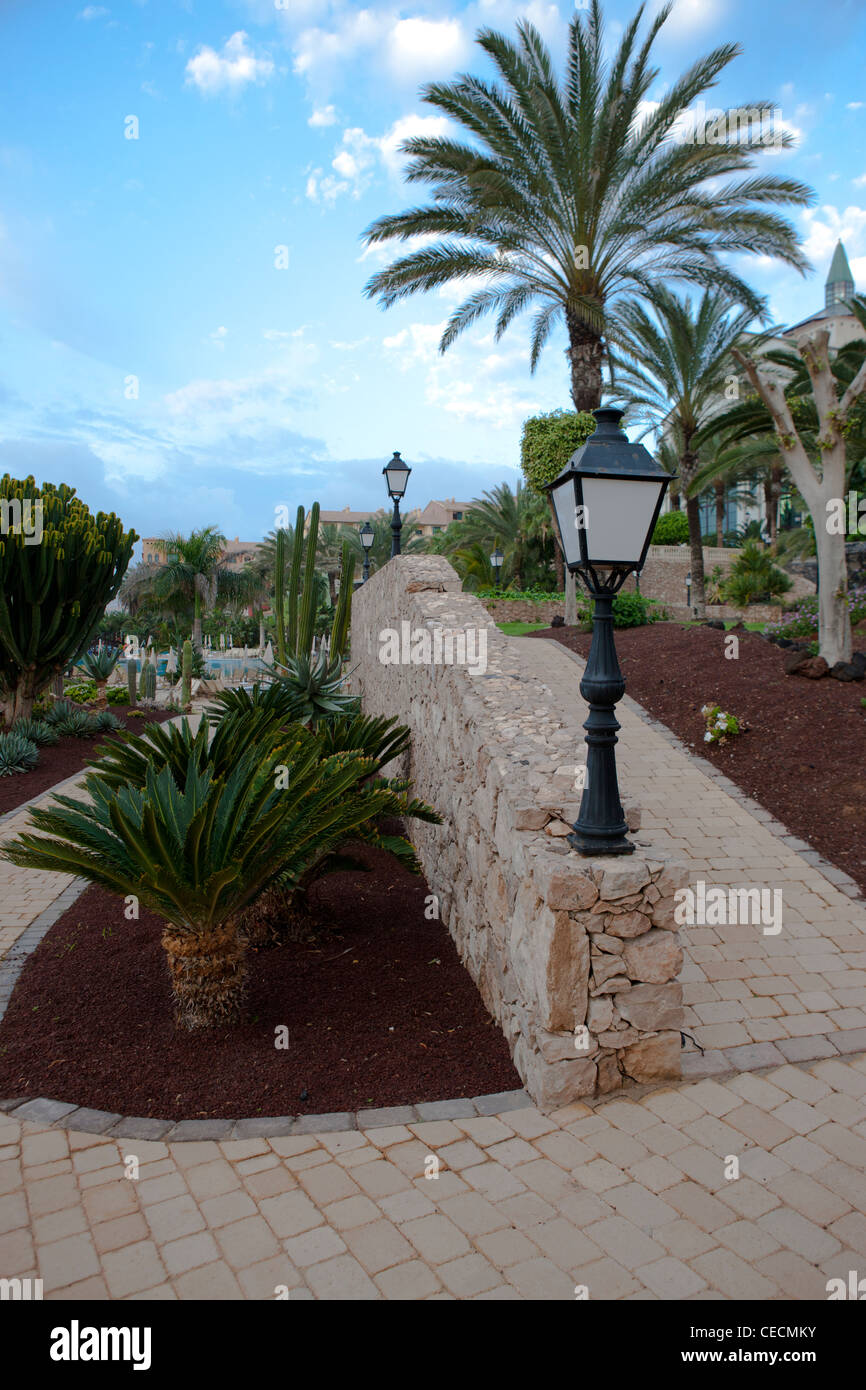 path among the palm trees Stock Photo - Alamy