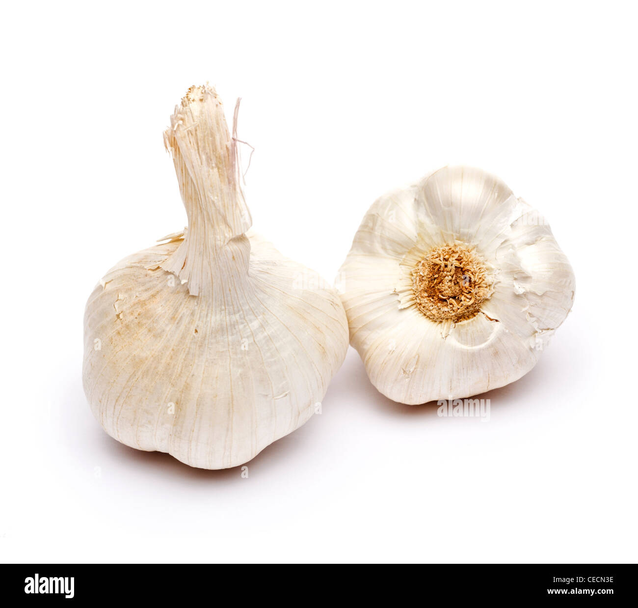 French garlic on white background Stock Photo