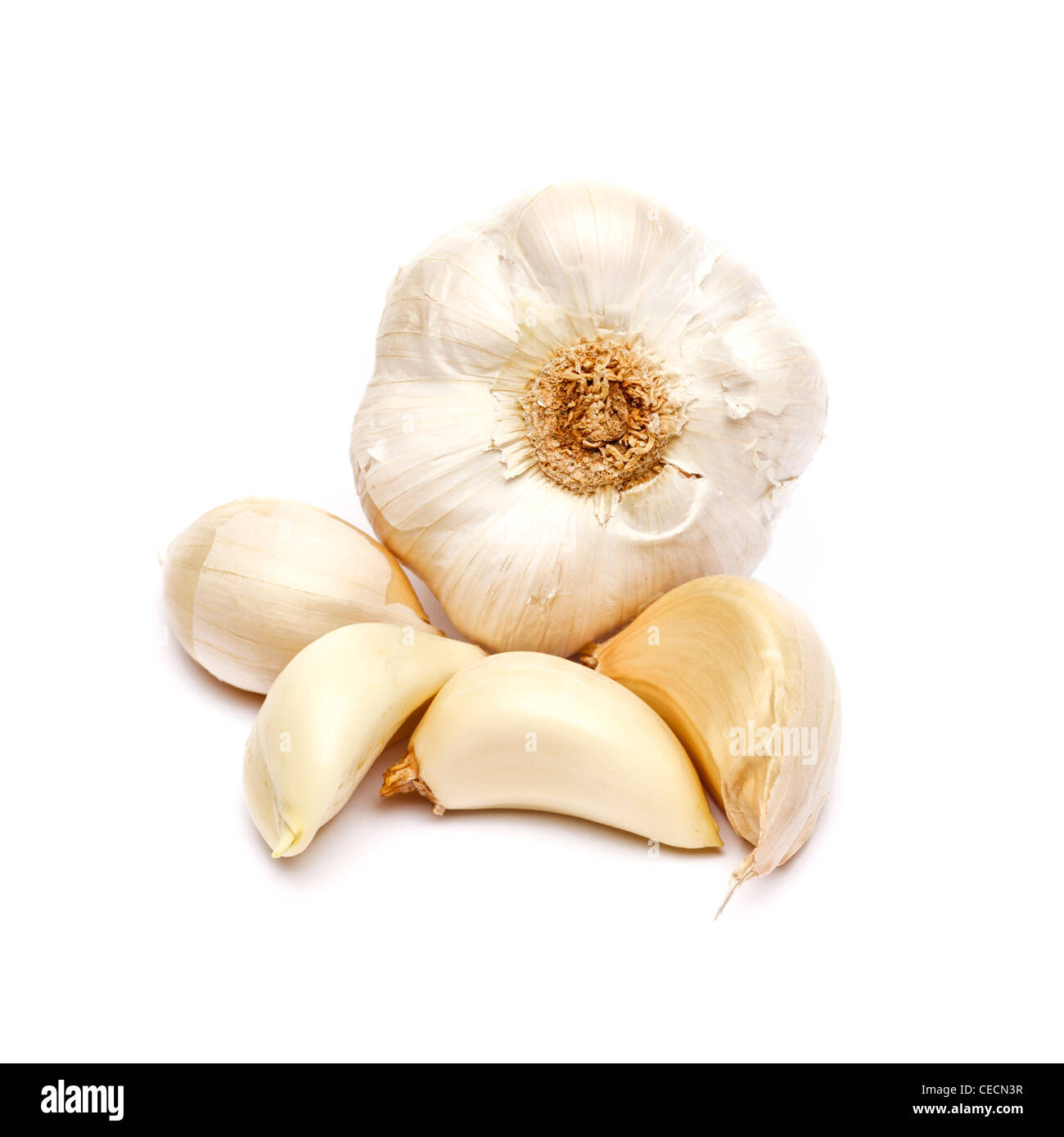 Garlic and garlic cloves detail on white background Stock Photo