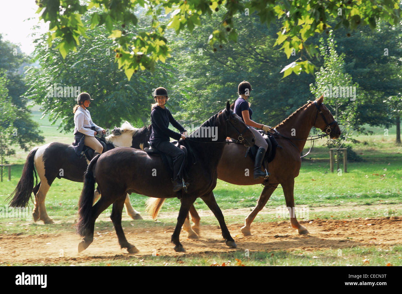 England, London, Horse Riding in Hyde Park Stock Photo Alamy