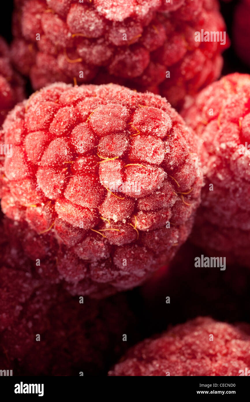 frozen raspberries in a macro lens Stock Photo - Alamy