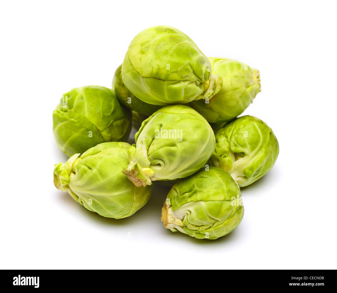 Uncooked, raw sprouts on white background Stock Photo
