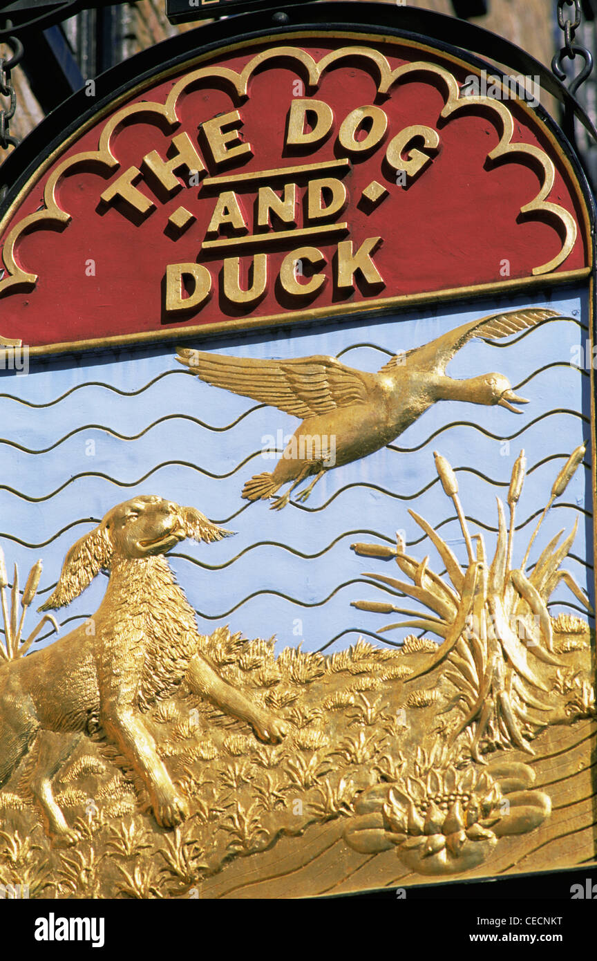 The dog and duck pub hires stock photography and images Alamy