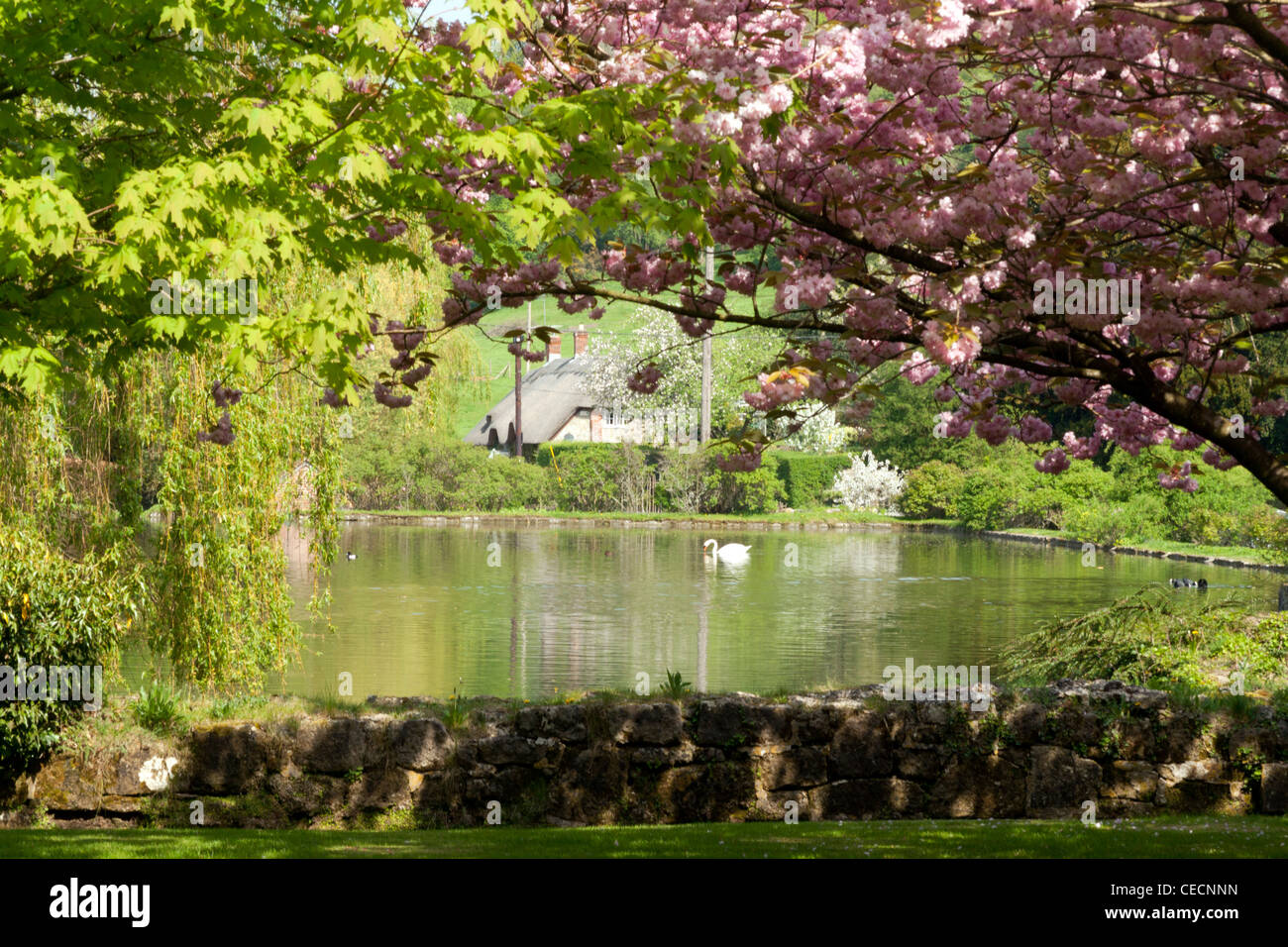 Ansty wiltshire hires stock photography and images Alamy