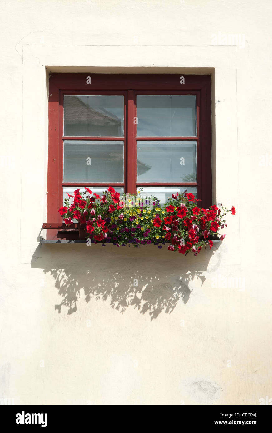 The ancient window w geranium flowers Stock Photo - Alamy