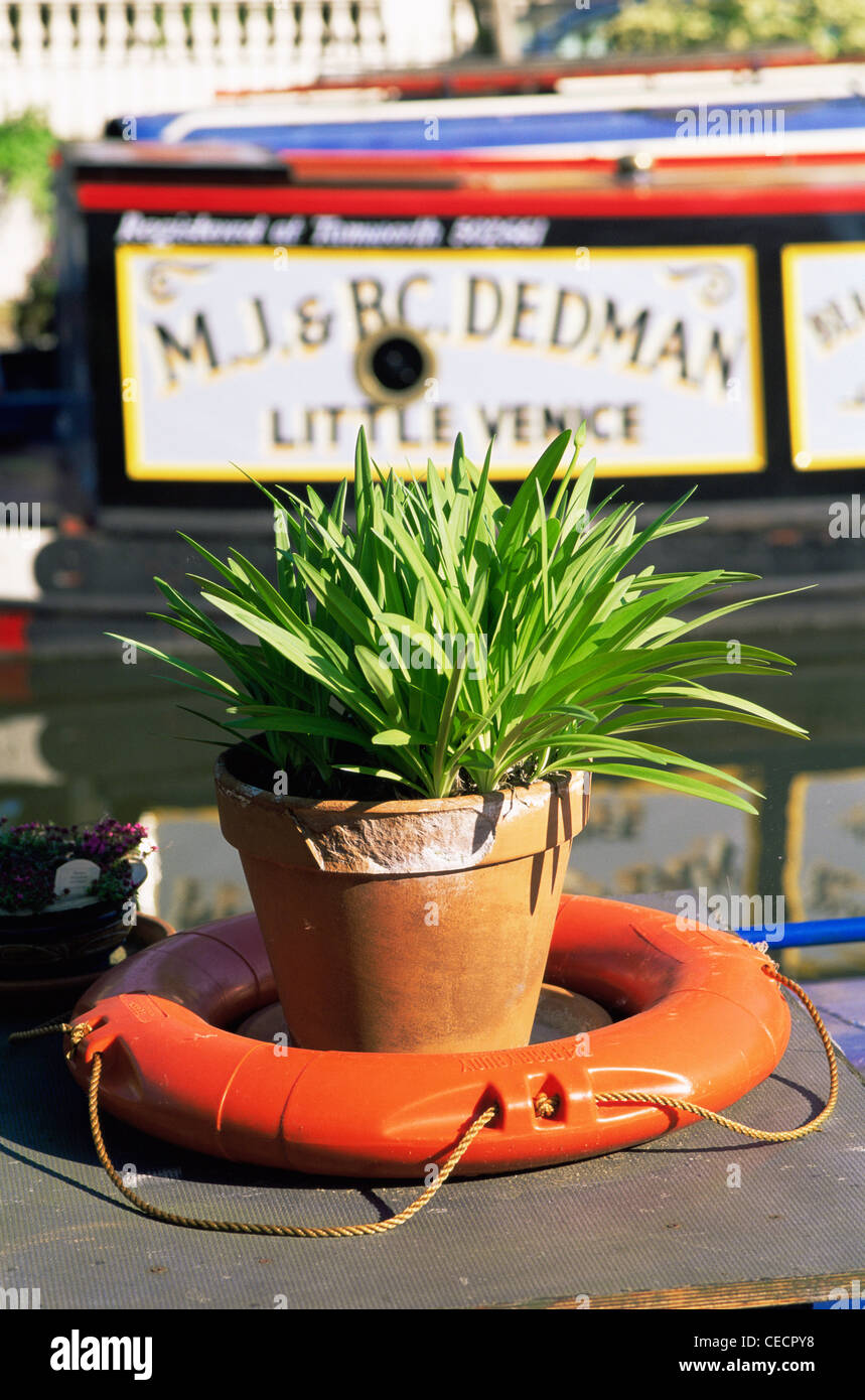 England, London, Little Venice, Garden Display on Canal Boat Stock Photo