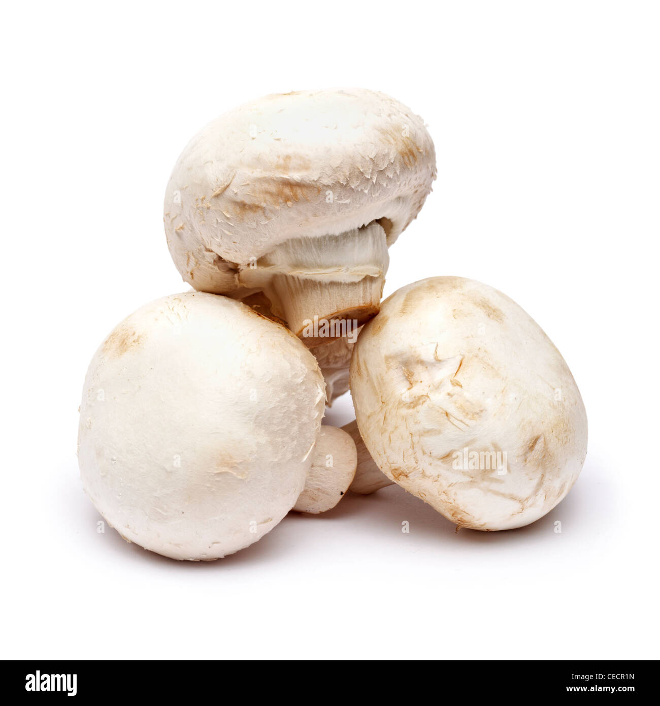 White button mushroom cut hi res stock photography and images Alamy