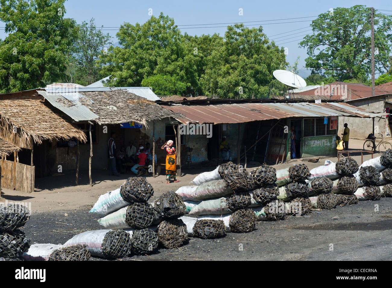 Bags of charcoal for sale in a village near Mombo Kilimanjaro Region Tanzania Stock Photo